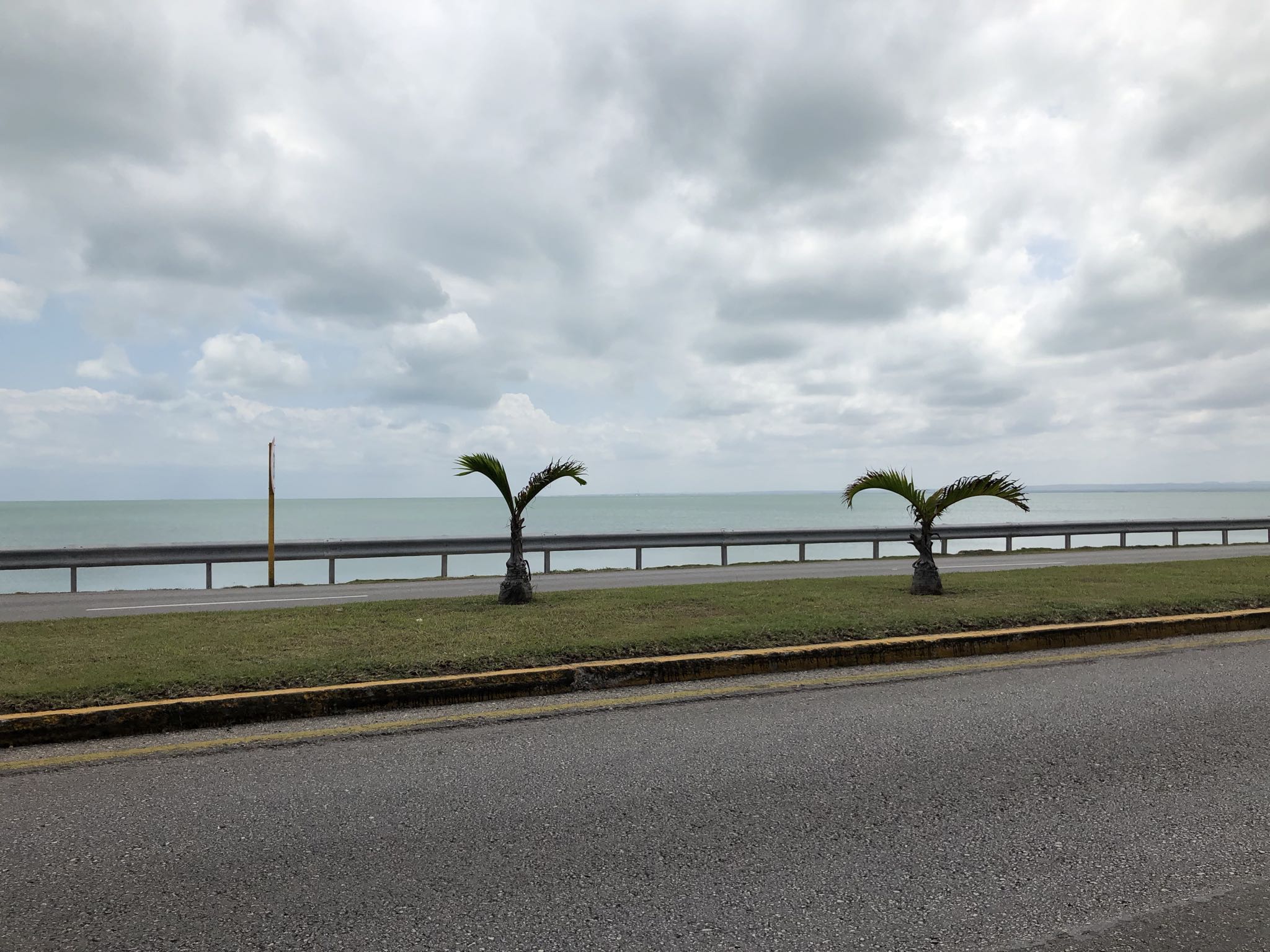 Photo 211 of 221 from the album Highlights Cuba 2019.