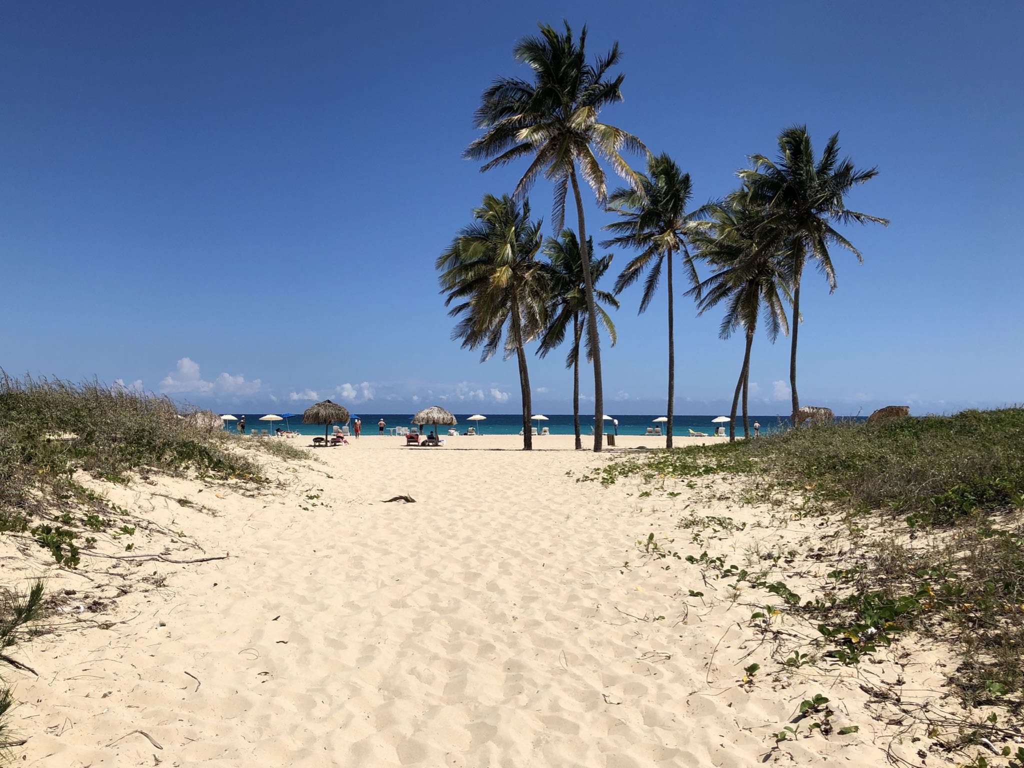 Photo 135 of 221 from the album Highlights Cuba 2019.