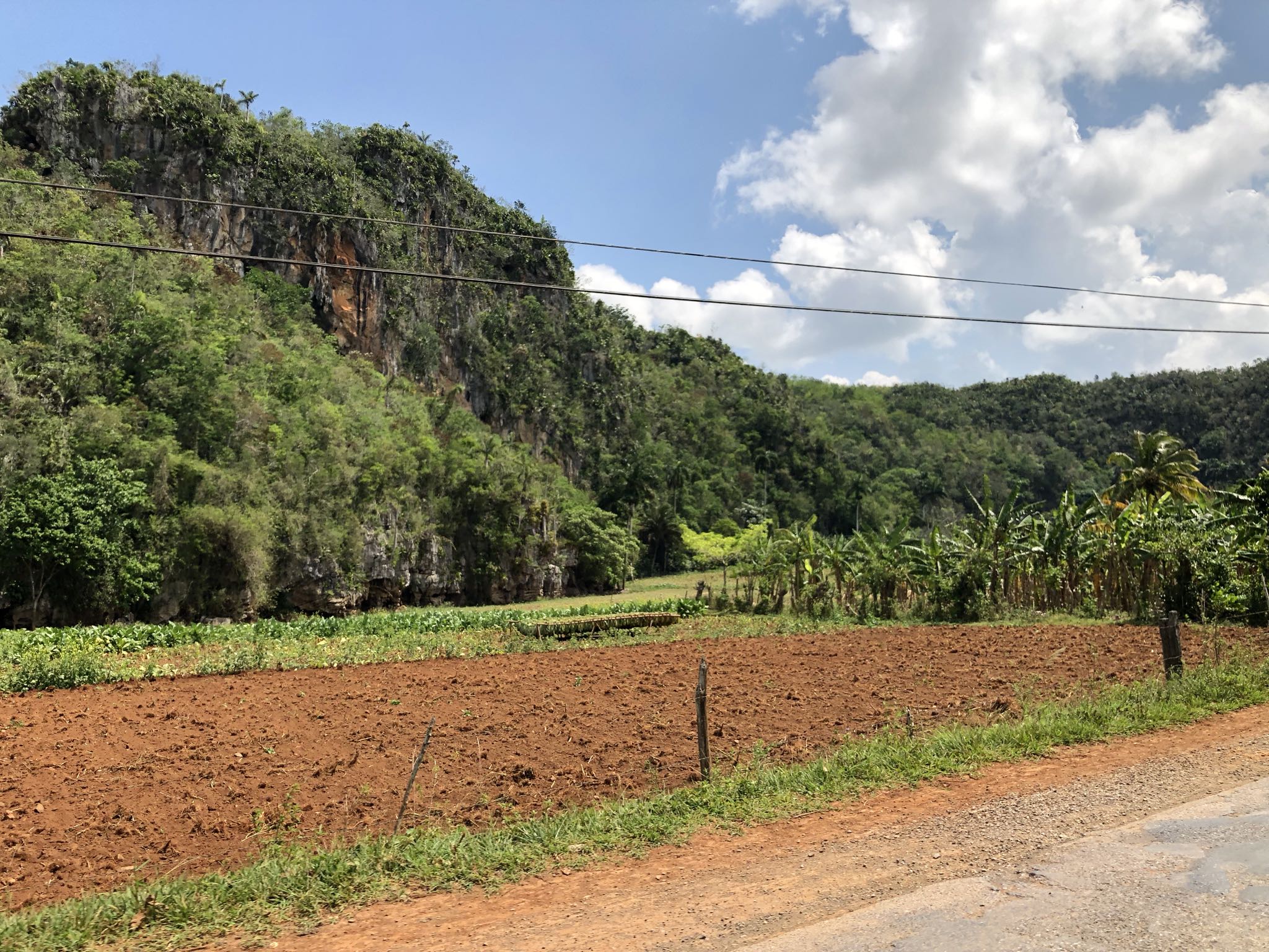Photo 166 of 221 from the album Highlights Cuba 2019.