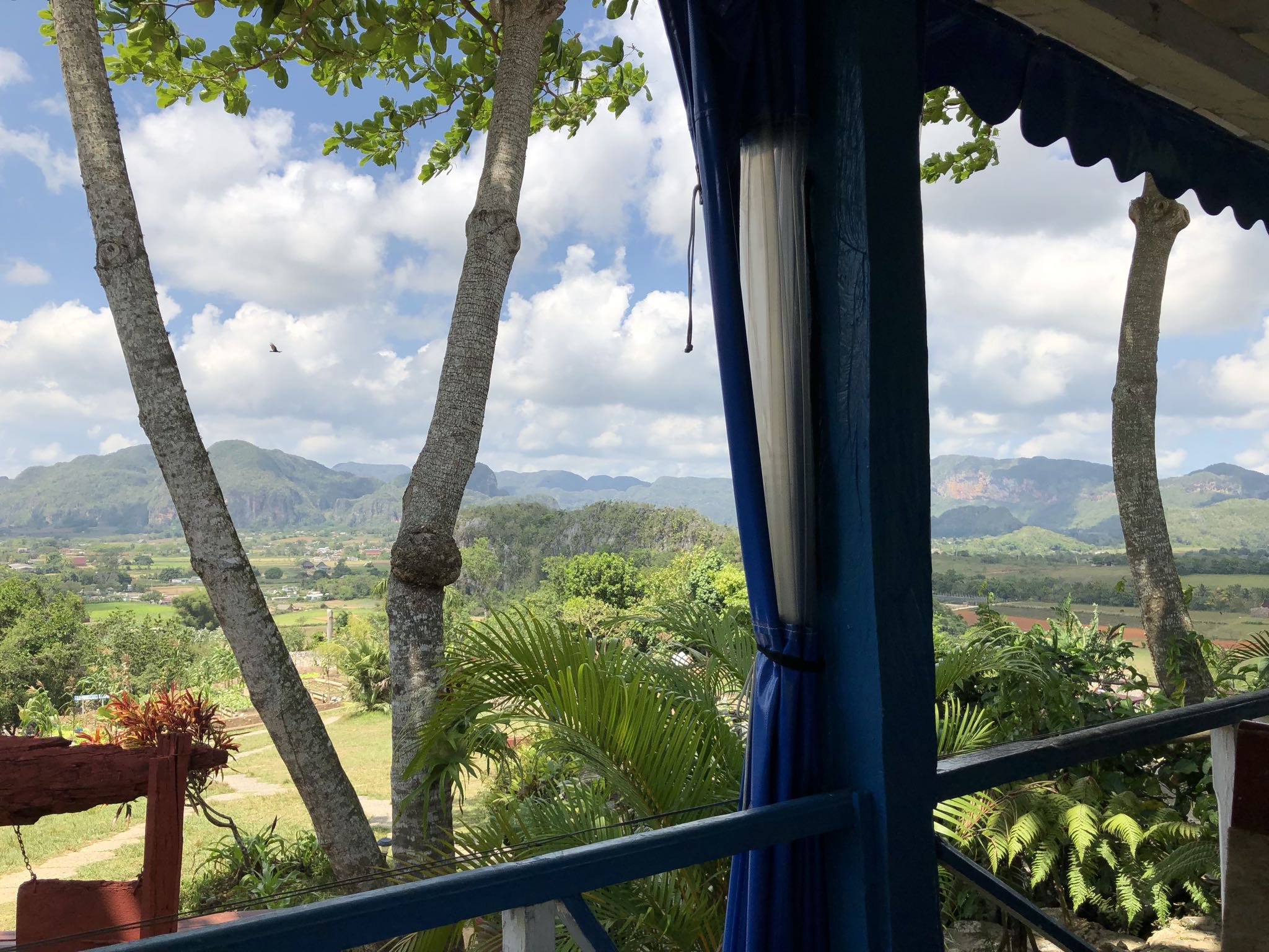 Photo 169 of 221 from the album Highlights Cuba 2019.