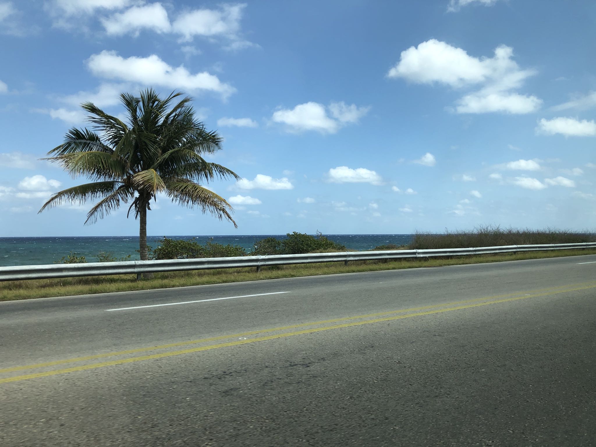 Photo 204 of 221 from the album Highlights Cuba 2019.