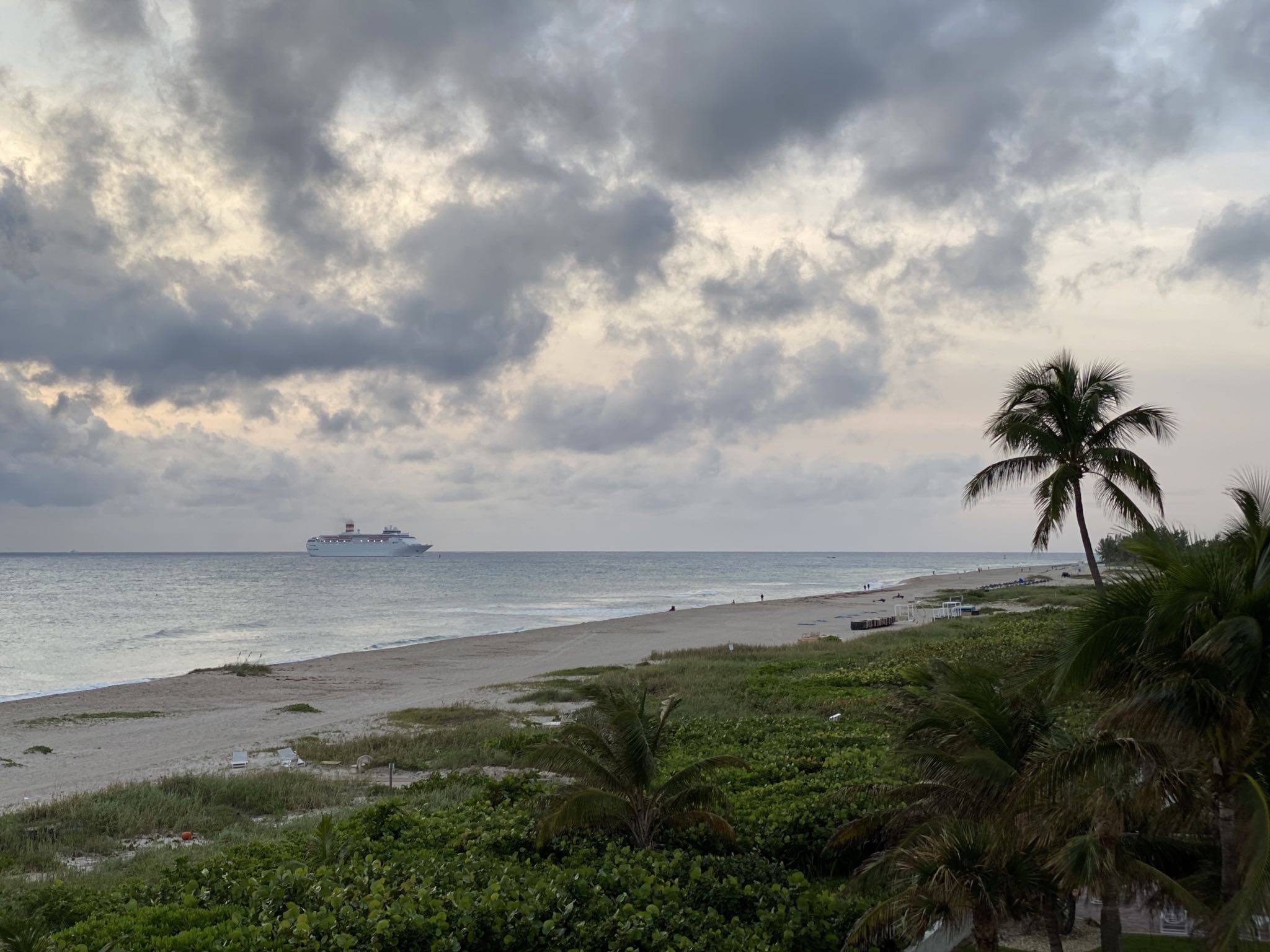 Photo 26 of 78 from the album Highlights Florida – New York 2019.