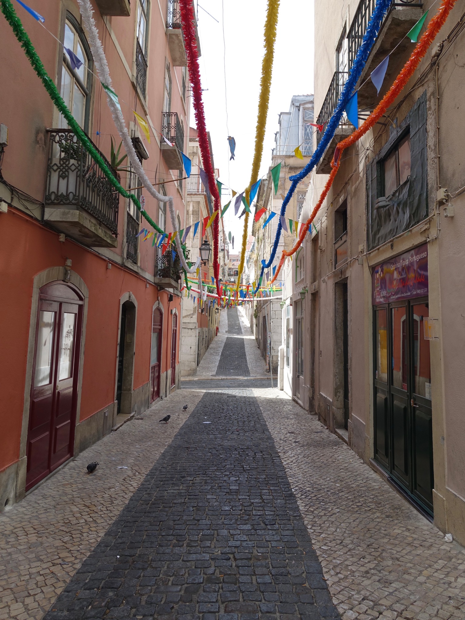 Photo 69 of 86 from the album Highlights Lisbon 2015.