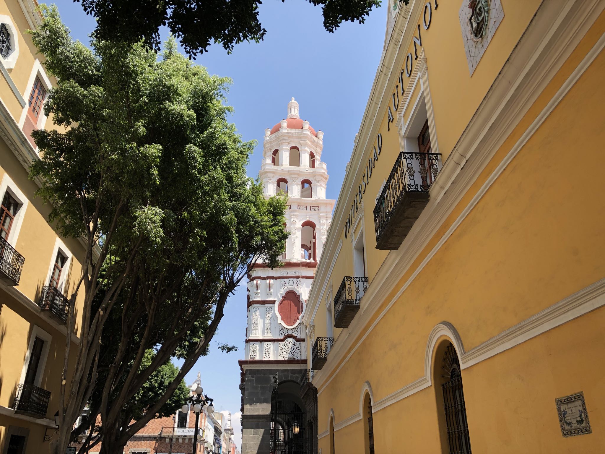 Photo 79 of 362 from the album Highlights Mexico 2019.