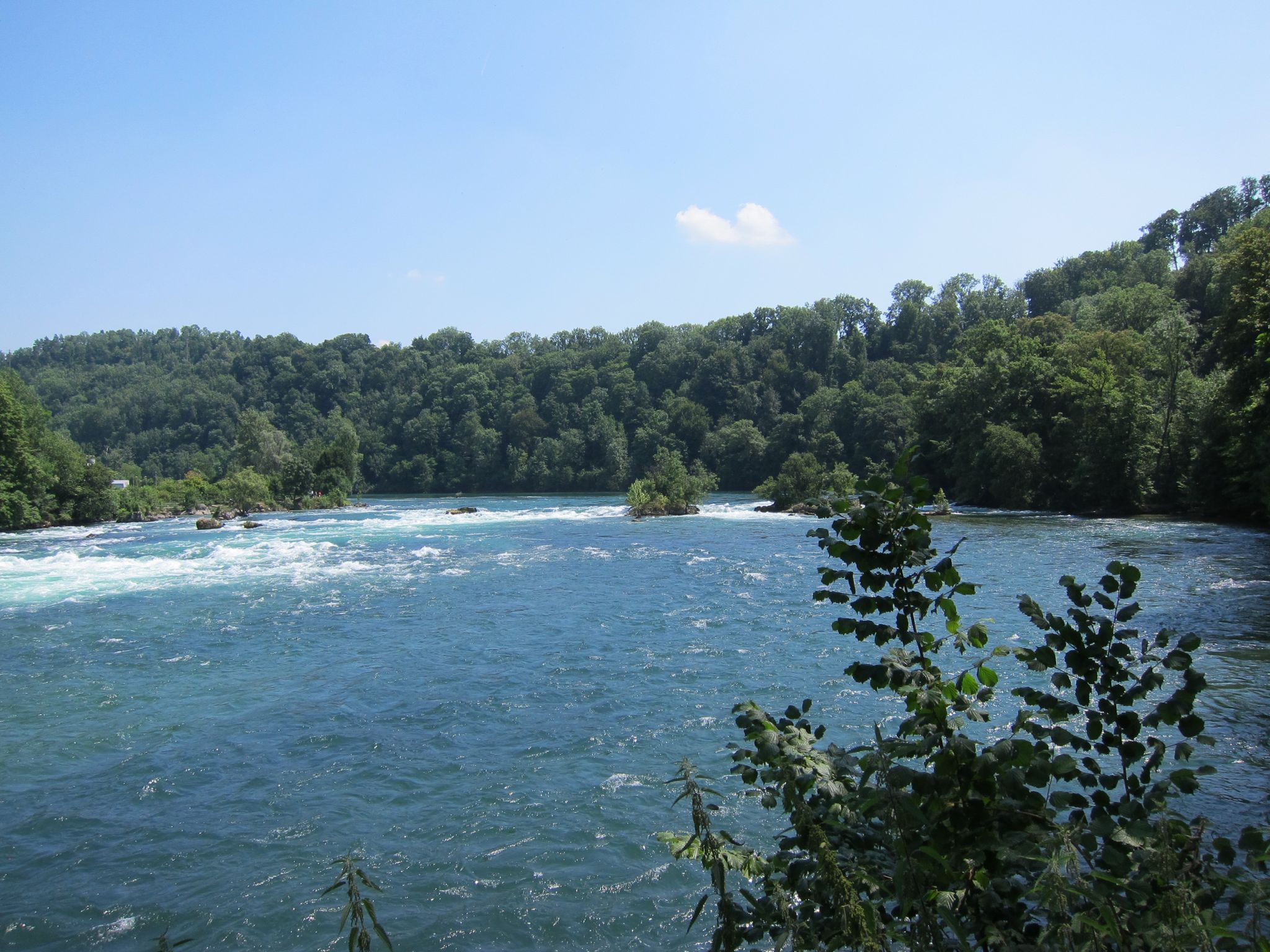 Photo 13 of 22 from the album Rheinfall.