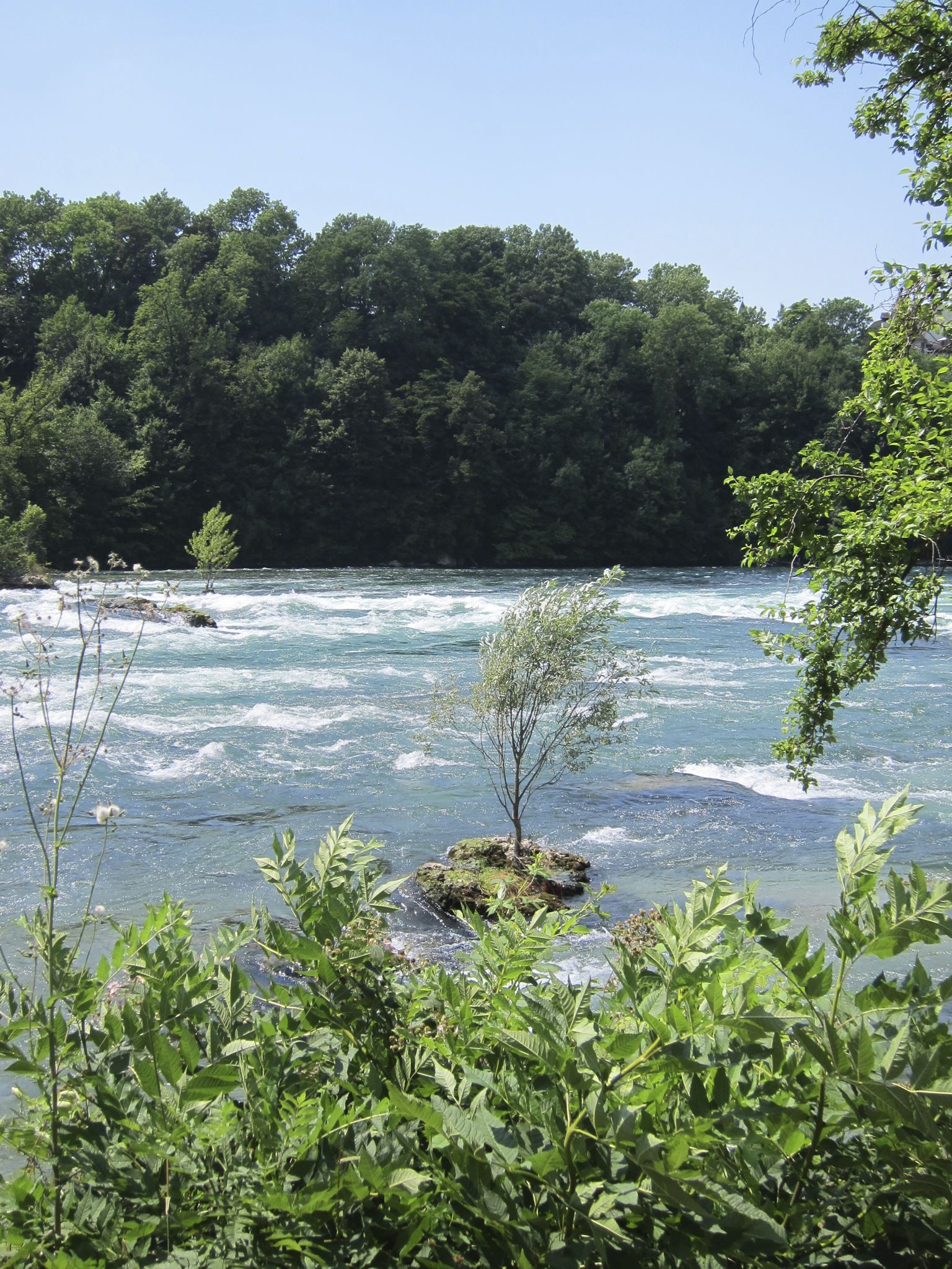 Photo 18 of 22 from the album Rheinfall.