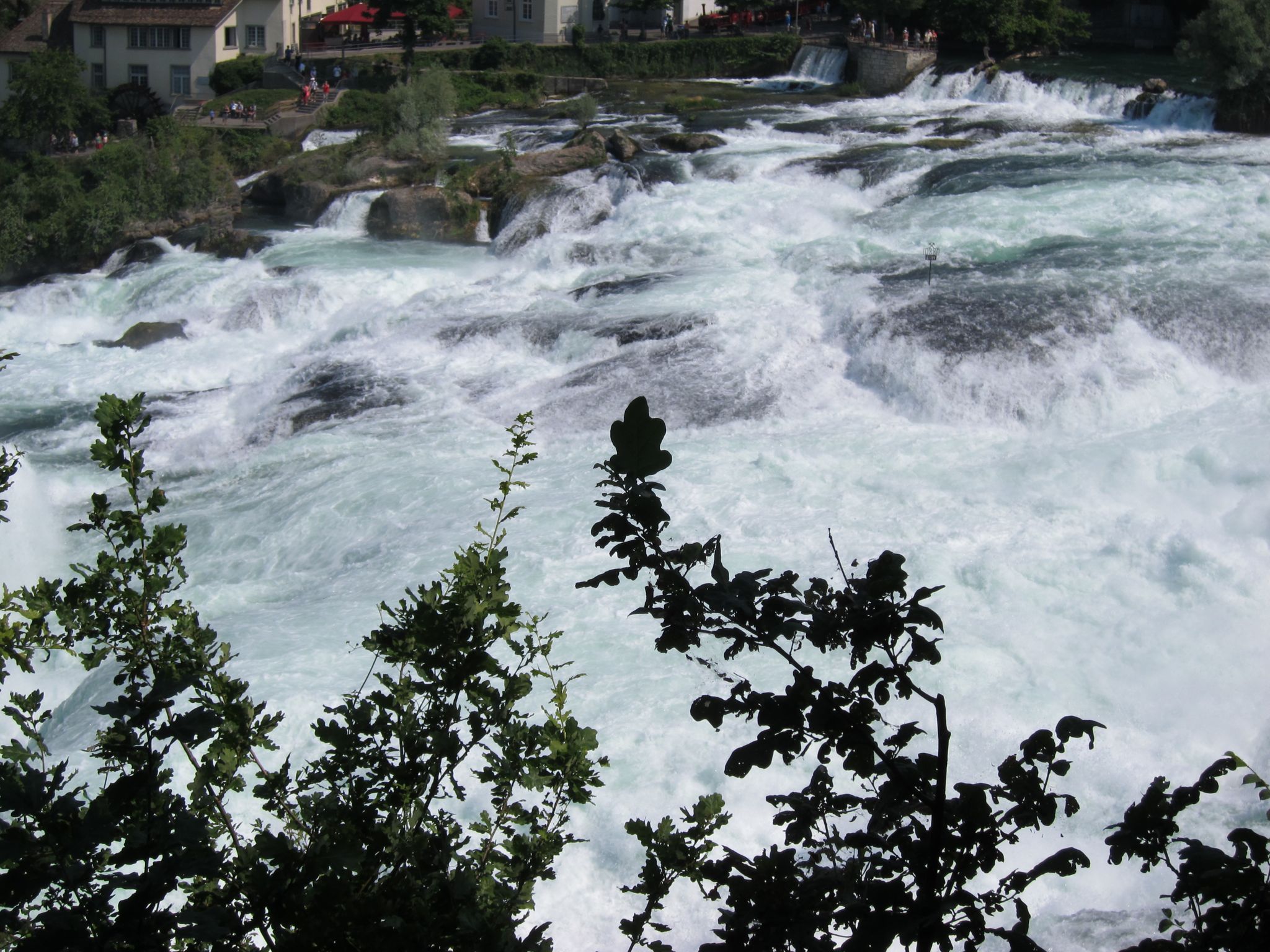 Photo 2 of 22 from the album Rheinfall.