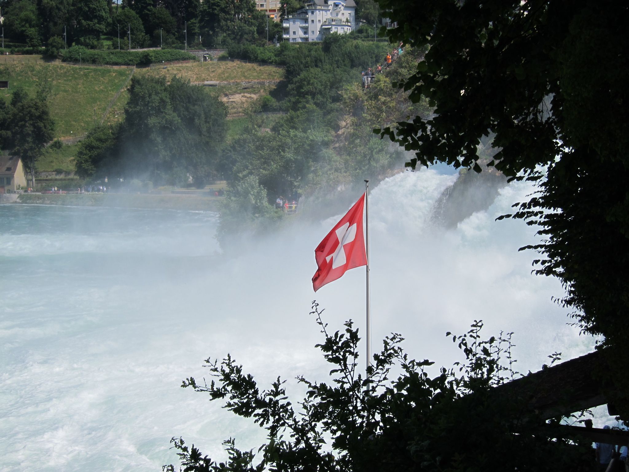 Photo 6 of 22 from the album Rheinfall.