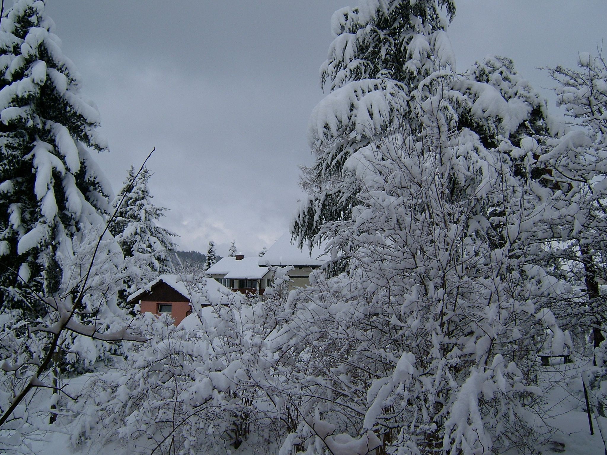 Photo 1 of 23 from the album Winter in Embrach.
