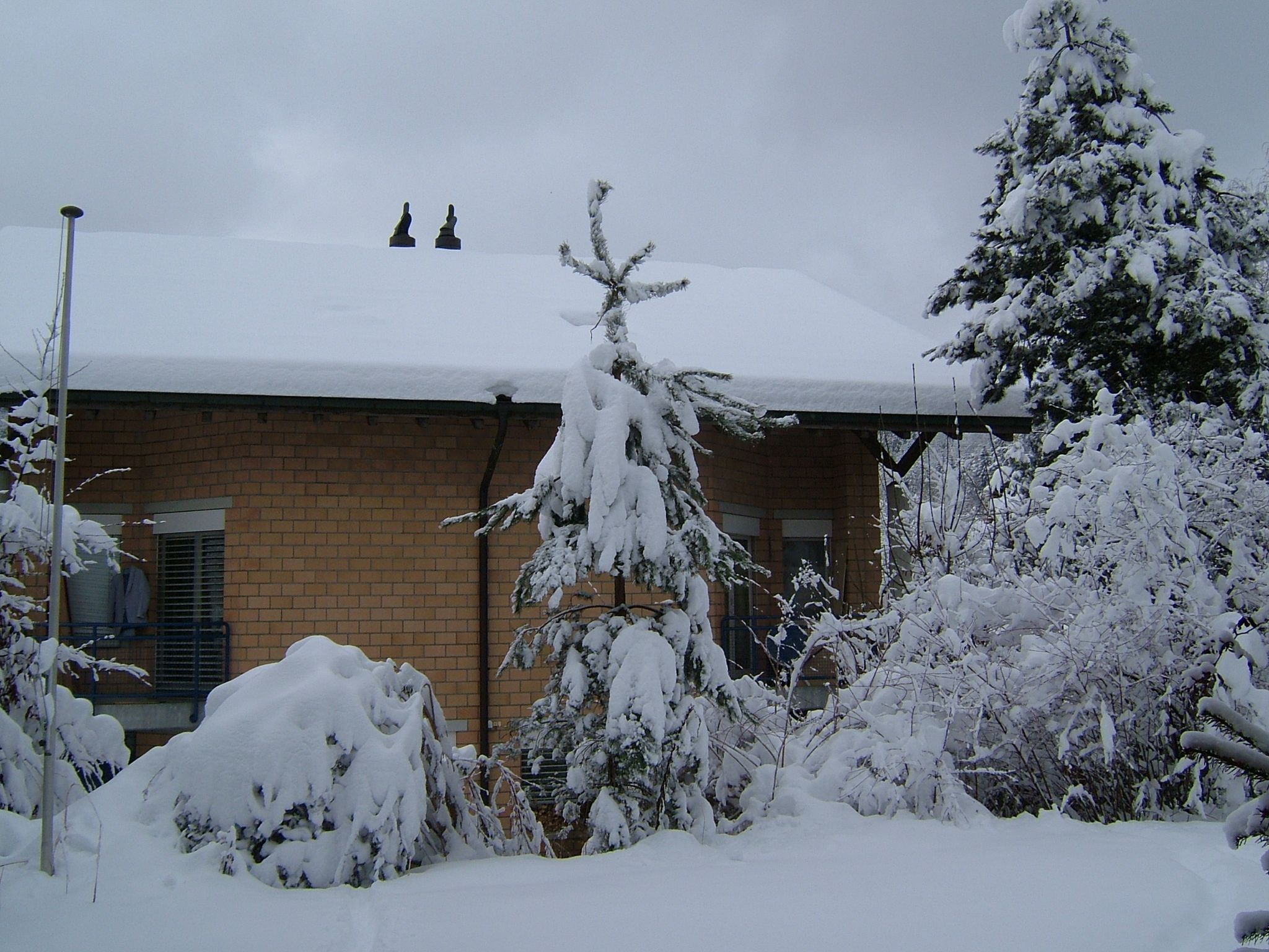Photo 6 of 23 from the album Winter in Embrach.